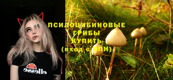 ешки Алексин