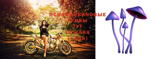 ешки Алексин