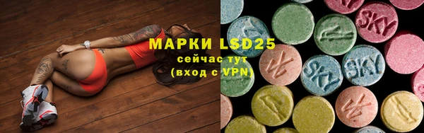 ГАЛЛЮЦИНОГЕННЫЕ ГРИБЫ Алзамай