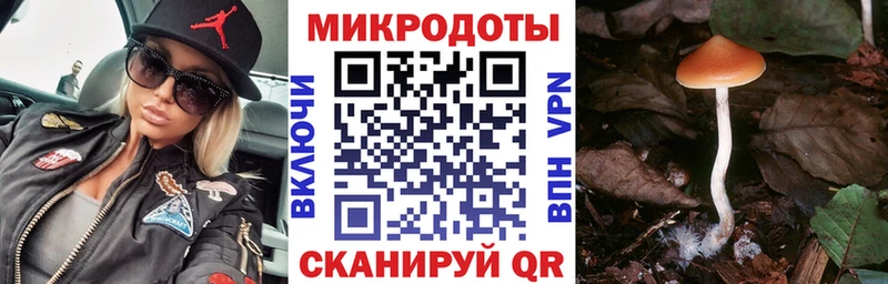 Галлюциногенные грибы GOLDEN TEACHER как найти Саки